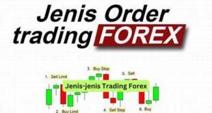 Jenis-jenis Trading Forex