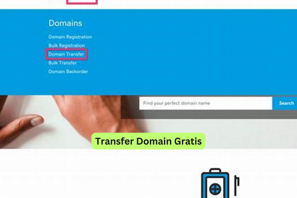 Transfer Domain Gratis