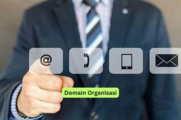 Domain Organisasi