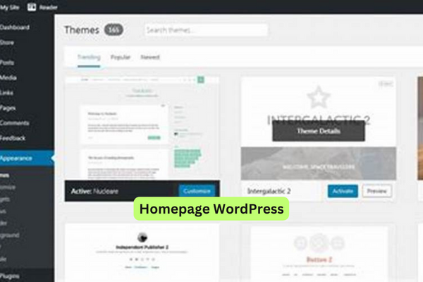 Homepage WordPress