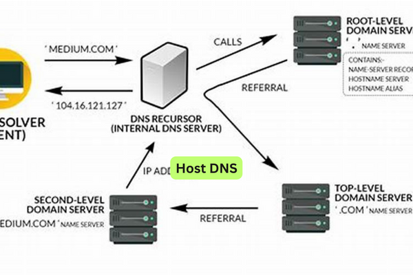 Host DNS