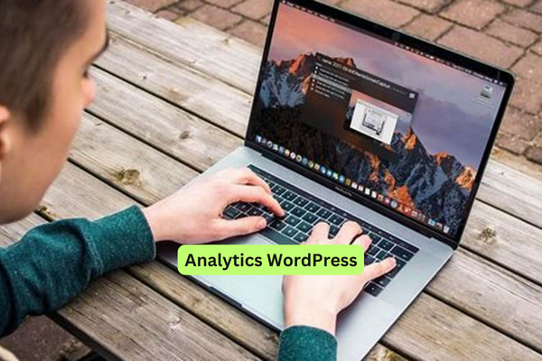 Analytics WordPress
