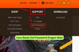 Cara Reset 2nd Password Dragon Nest
