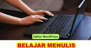 Editor WordPress