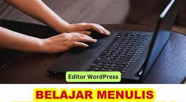Editor WordPress