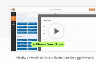 WPForms WordPress