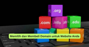 Memilih dan Membeli Domain untuk Website Anda