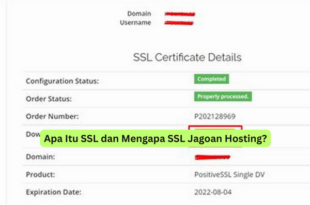 Apa Itu SSL dan Mengapa SSL Jagoan Hosting