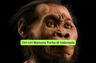 Ciri-ciri Manusia Purba di Indonesia