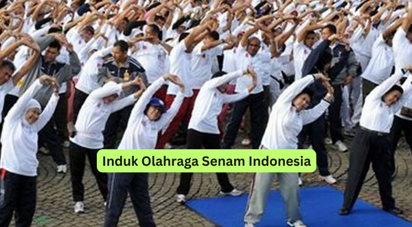 Induk Olahraga Senam Indonesia
