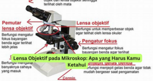 Lensa Objektif pada Mikroskop Apa yang Harus Kamu Ketahui