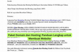 Paket Domain dan Hosting Panduan Lengkap untuk Membuat Website