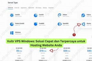Vultr VPS Windows Solusi Cepat dan Terpercaya untuk Hosting Website Anda