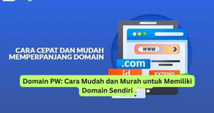 Domain PW Cara Mudah dan Murah untuk Memiliki Domain Sendiri