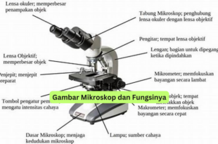 Gambar Mikroskop dan Fungsinya