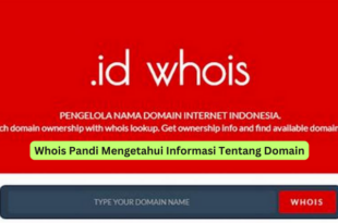 Whois Pandi Mengetahui Informasi Tentang Domain
