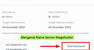 Mengenal Name Server Niagahoster