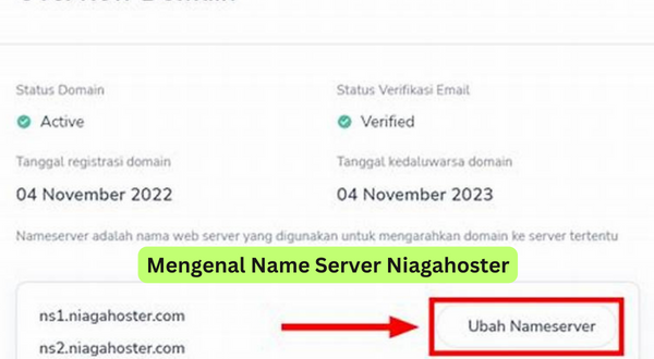 Mengenal Name Server Niagahoster