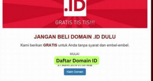 Daftar Domain ID