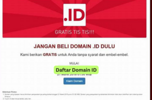 Daftar Domain ID