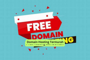 Domain Hosting Termurah