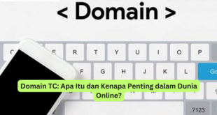 Domain TC Apa Itu dan Kenapa Penting dalam Dunia Online