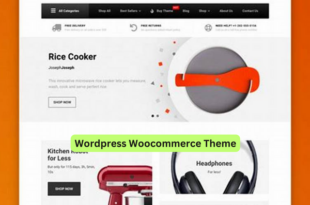 Wordpress Woocommerce Theme