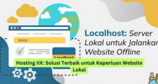 Hosting IIX Solusi Terbaik untuk Keperluan Website Lokal