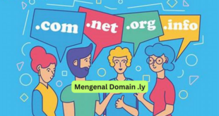 Mengenal Domain .ly