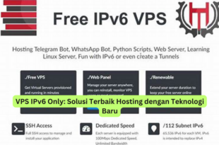 VPS IPv6 Only Solusi Terbaik Hosting dengan Teknologi Baru
