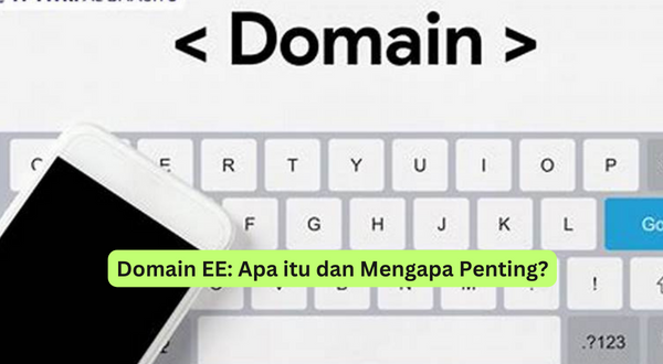 Domain EE Apa itu dan Mengapa Penting