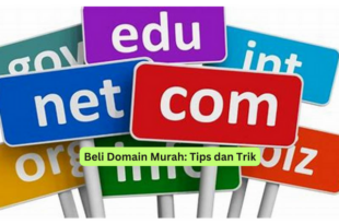 Beli Domain Murah Tips dan Trik