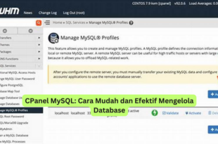 CPanel MySQL Cara Mudah dan Efektif Mengelola Database