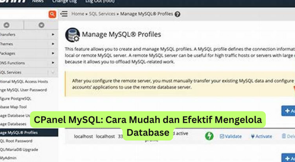 CPanel MySQL Cara Mudah dan Efektif Mengelola Database